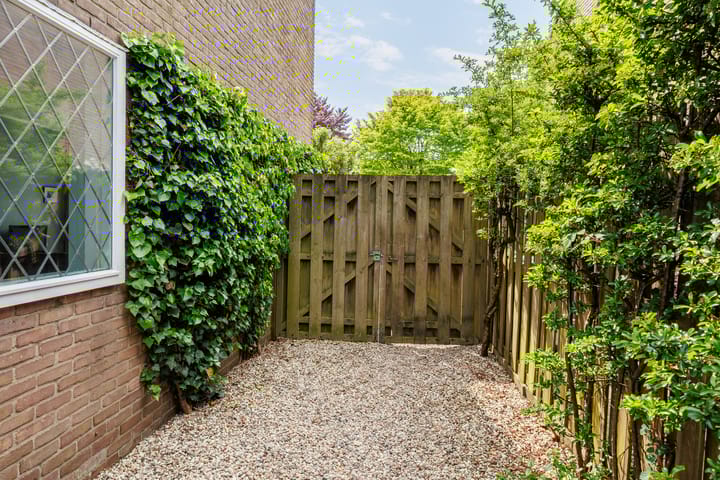 Foto 41 van Planterslaan 48