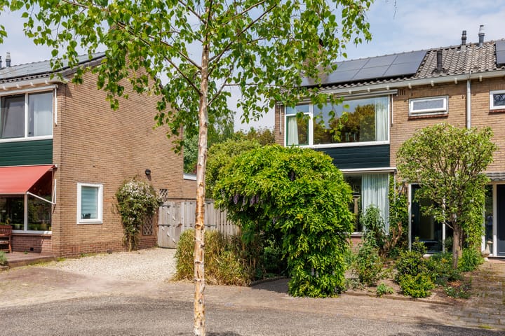 Foto 45 van Planterslaan 48