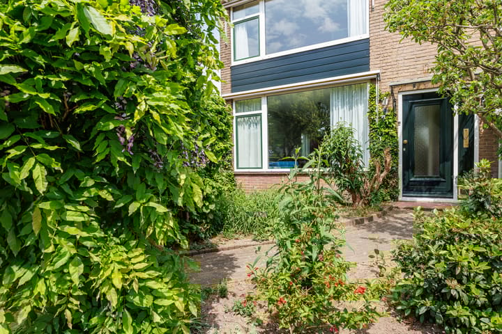 Foto 46 van Planterslaan 48