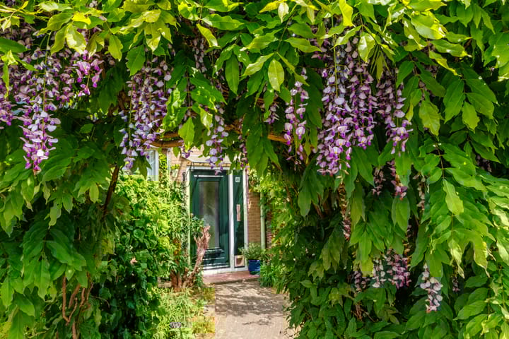 Foto 47 van Planterslaan 48