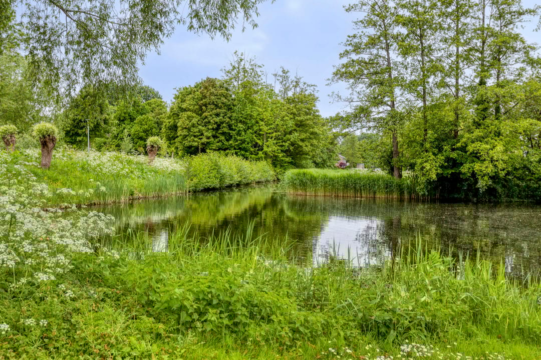 Foto 47 van Heiligerleelaan 5