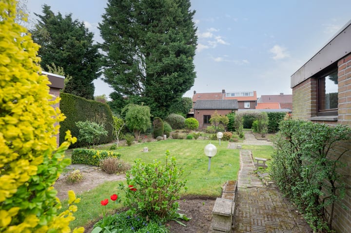 Foto 43 van Burgemeester van de Loostraat 12