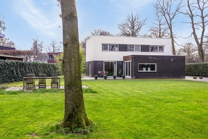 Photo 44 of De Messemaker 17