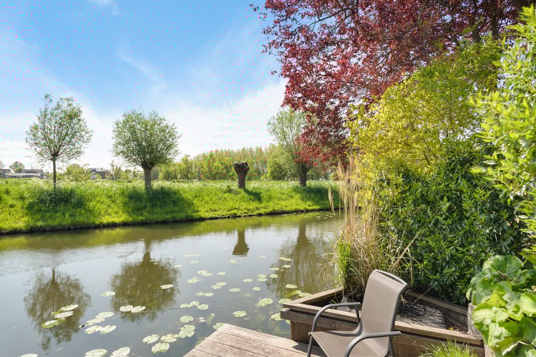 Foto 2 van Goudenregenzoom 142