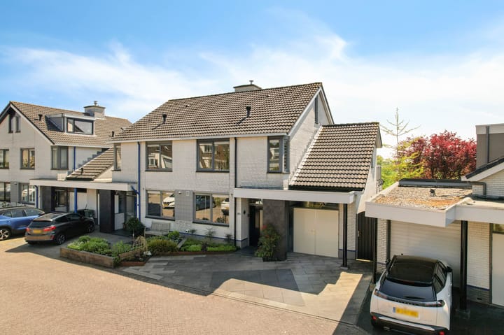 Foto 4 van Goudenregenzoom 142