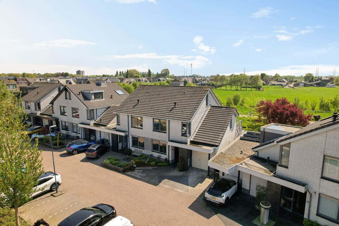 Foto 7 van Goudenregenzoom 142