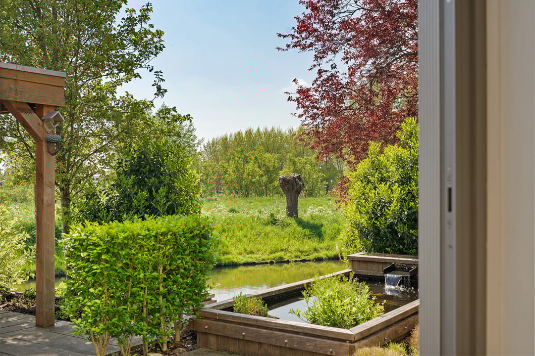 Foto 31 van Goudenregenzoom 142