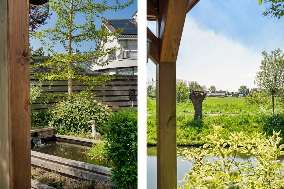 Foto 38 van Goudenregenzoom 142