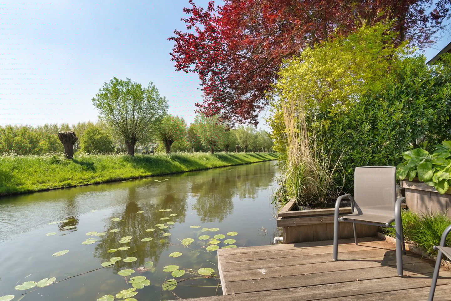 Foto 40 van Goudenregenzoom 142