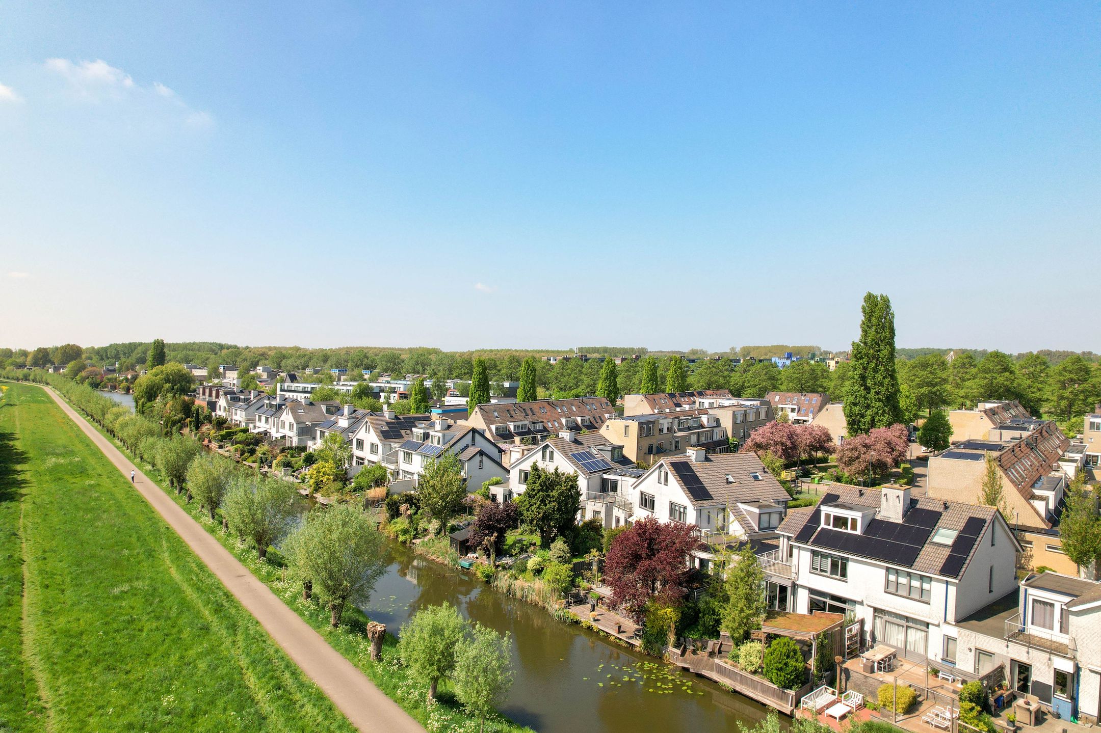 Foto 42 van Goudenregenzoom 142