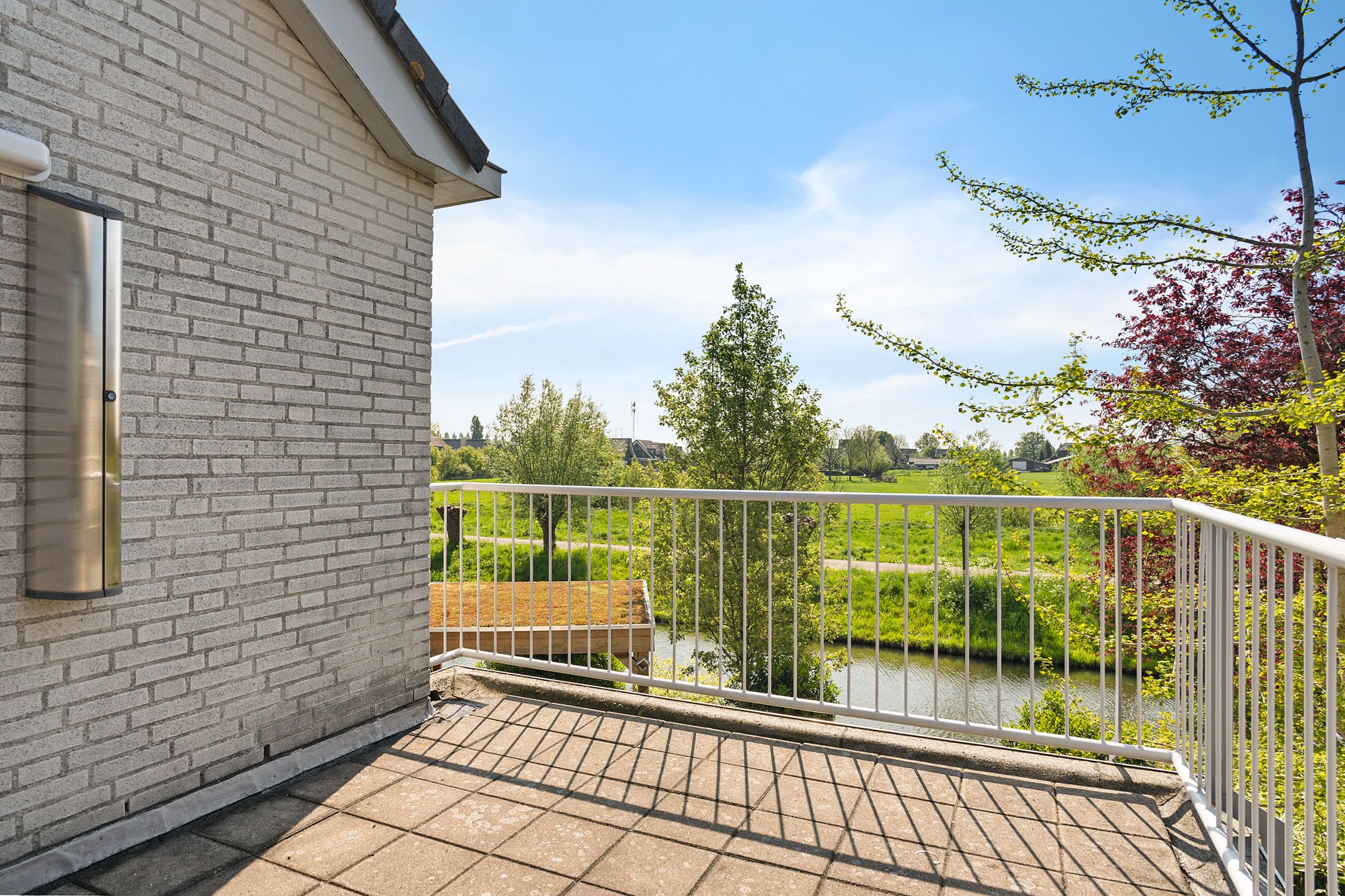 Foto 66 van Goudenregenzoom 142