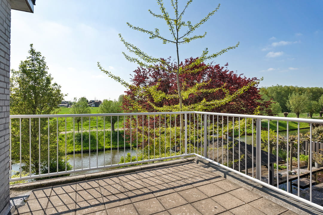 Foto 67 van Goudenregenzoom 142