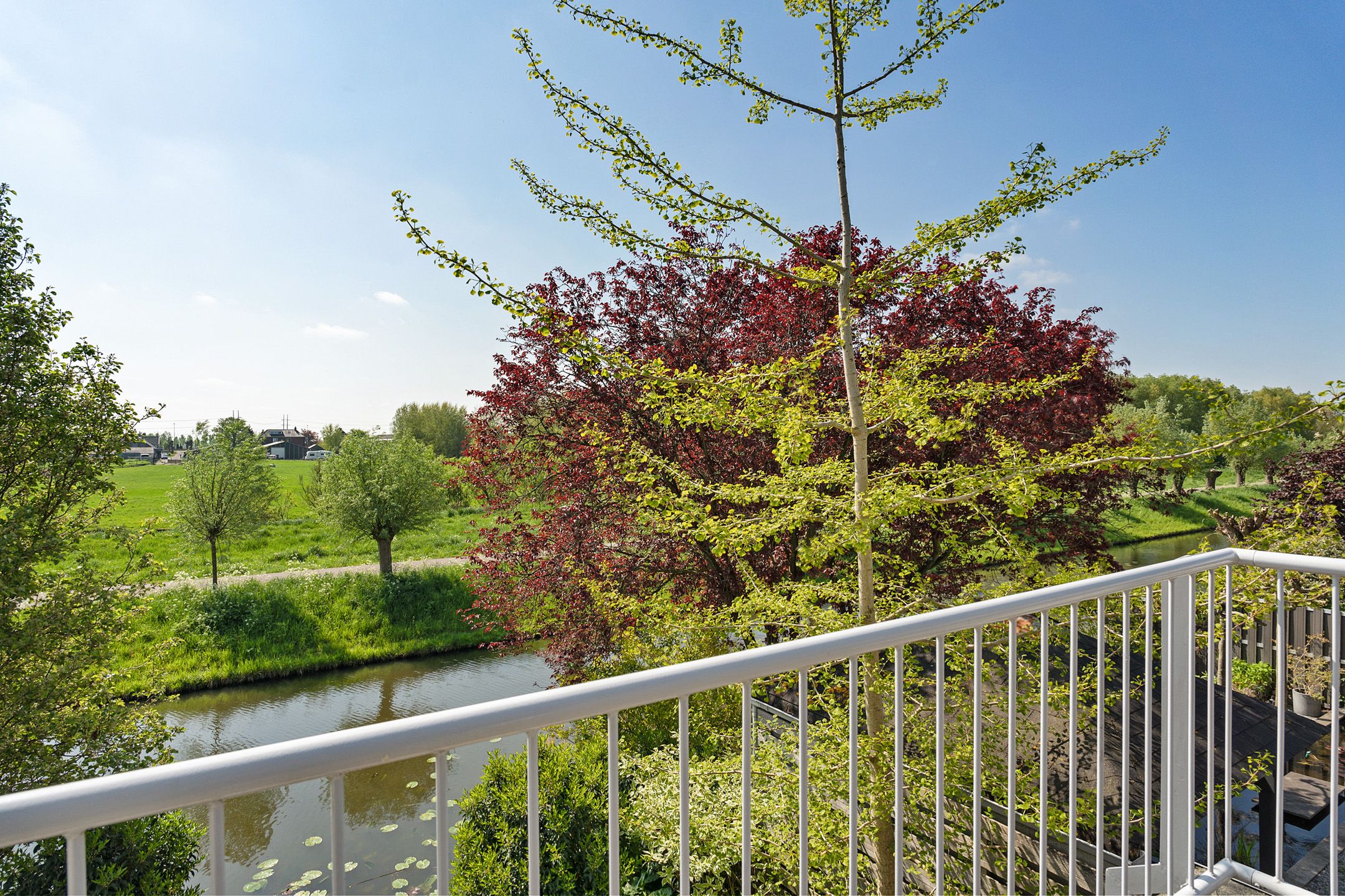 Foto 69 van Goudenregenzoom 142