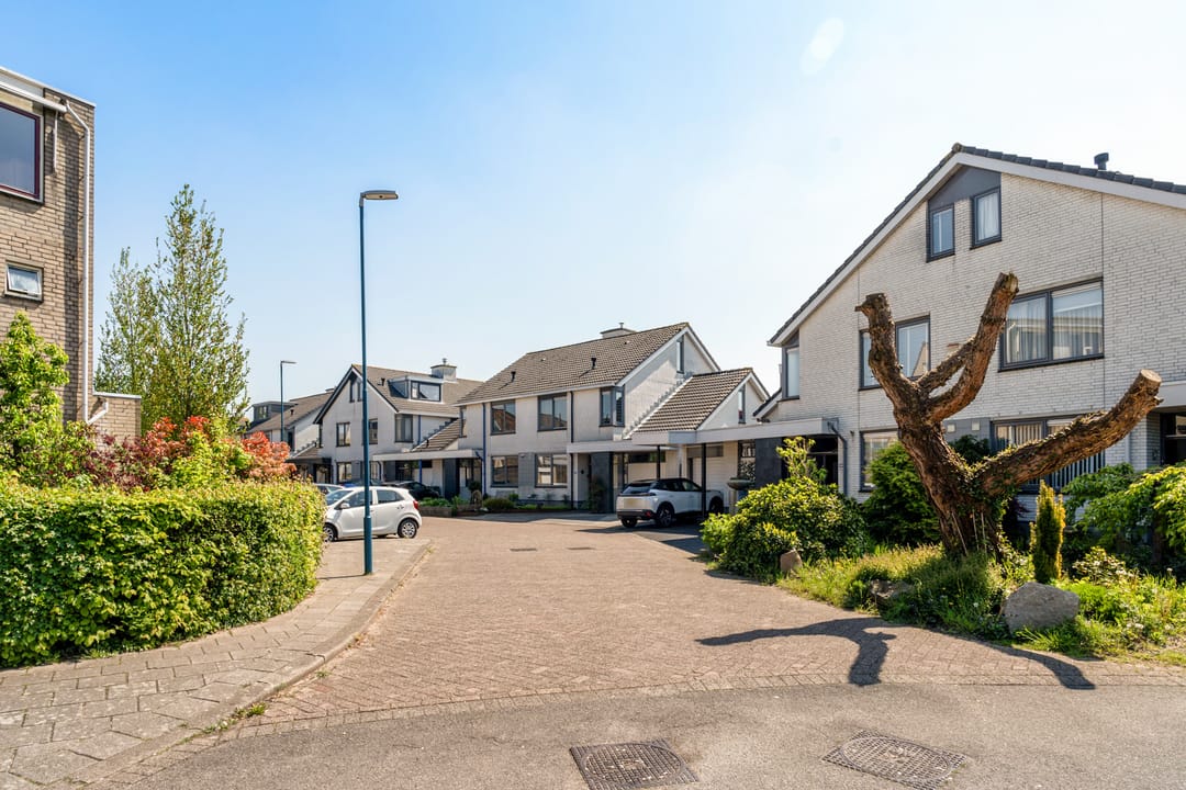 Foto 83 van Goudenregenzoom 142