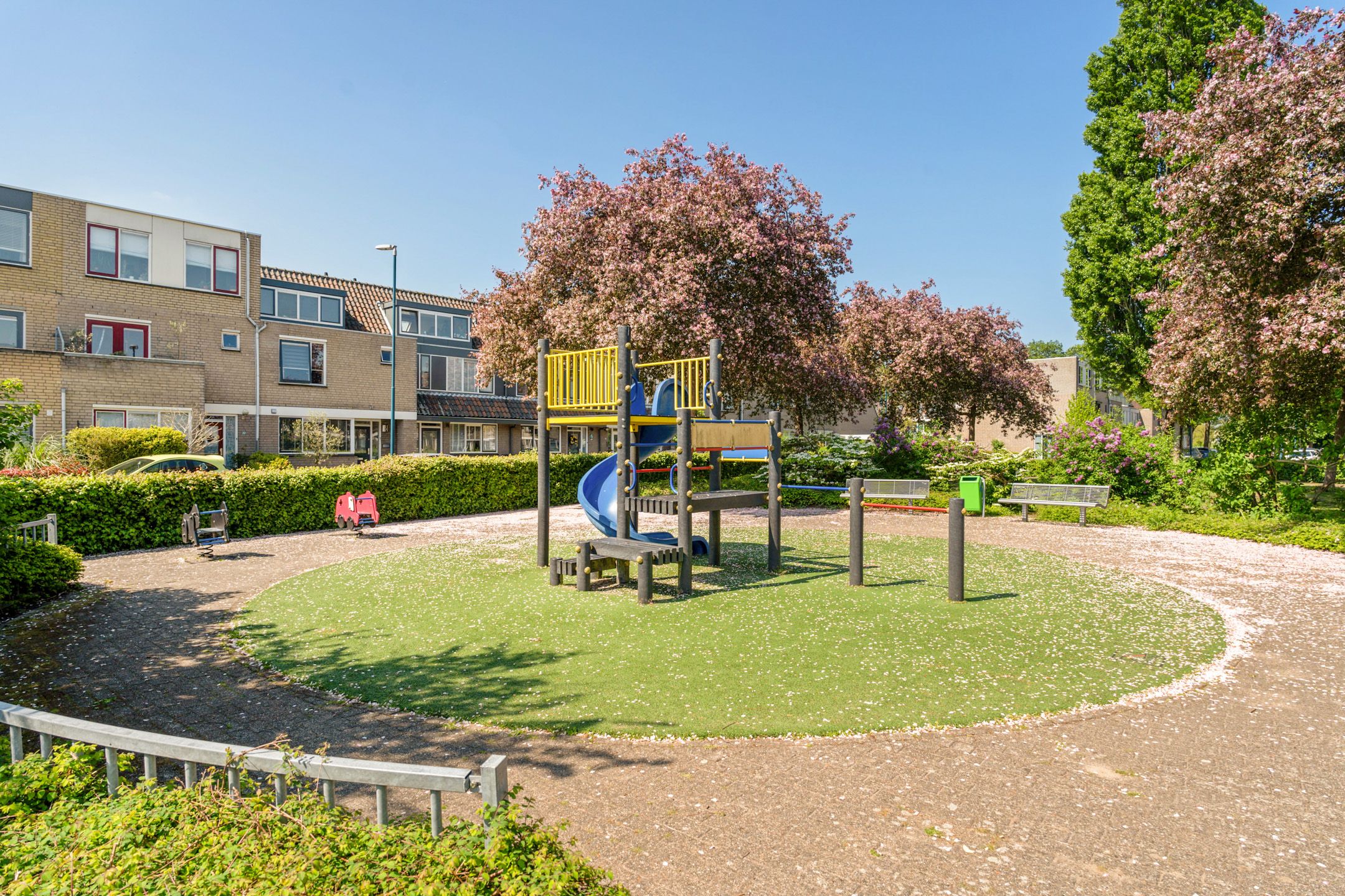 Foto 84 van Goudenregenzoom 142