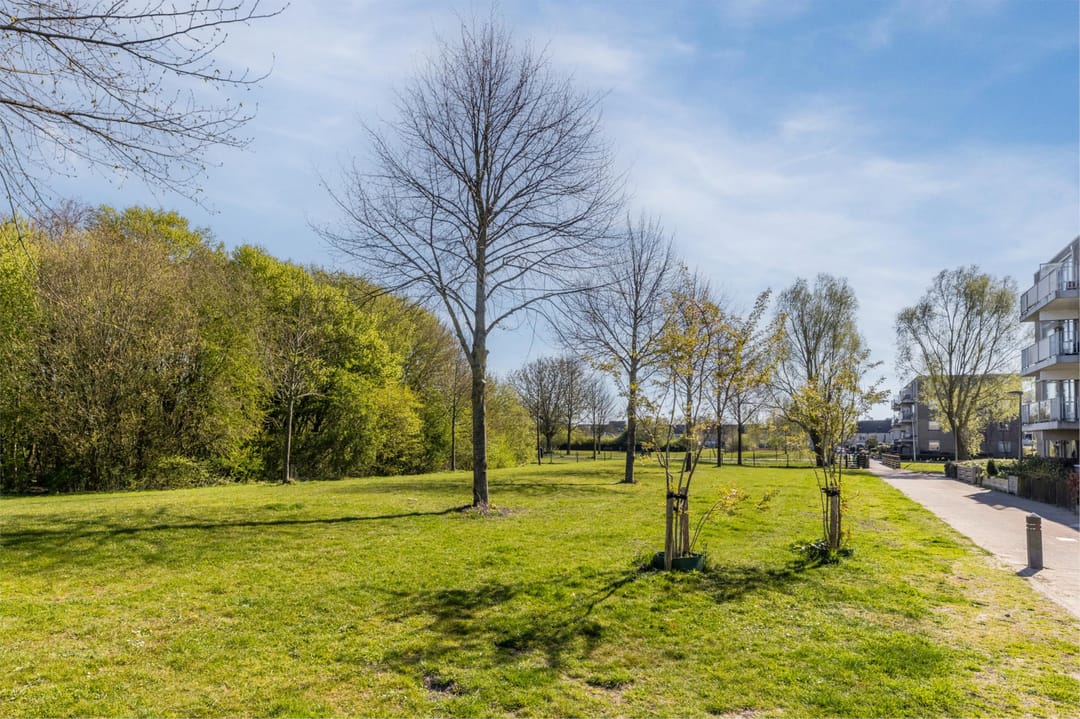 Foto 43 van Jan Bijhouwerstraat 18