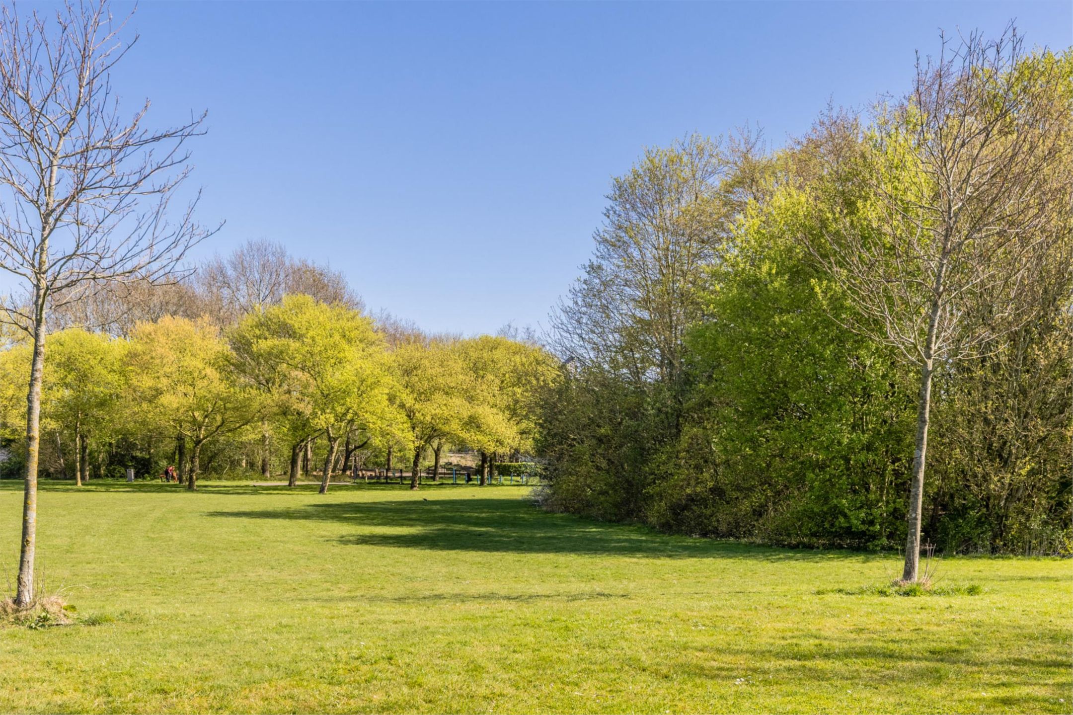Foto 45 van Jan Bijhouwerstraat 18
