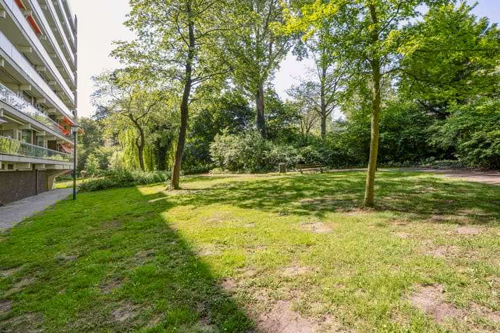 Foto 31 van Laan van Berlijn 52