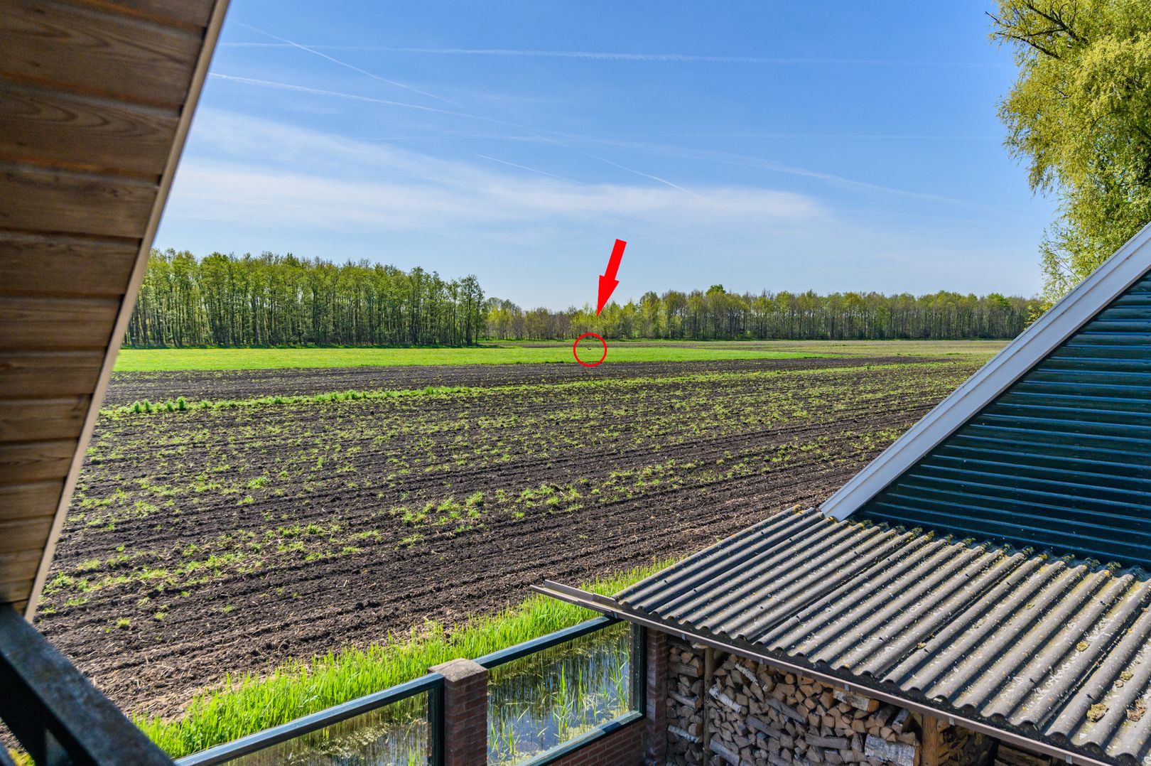 Photo 36 of Hanebuert 4