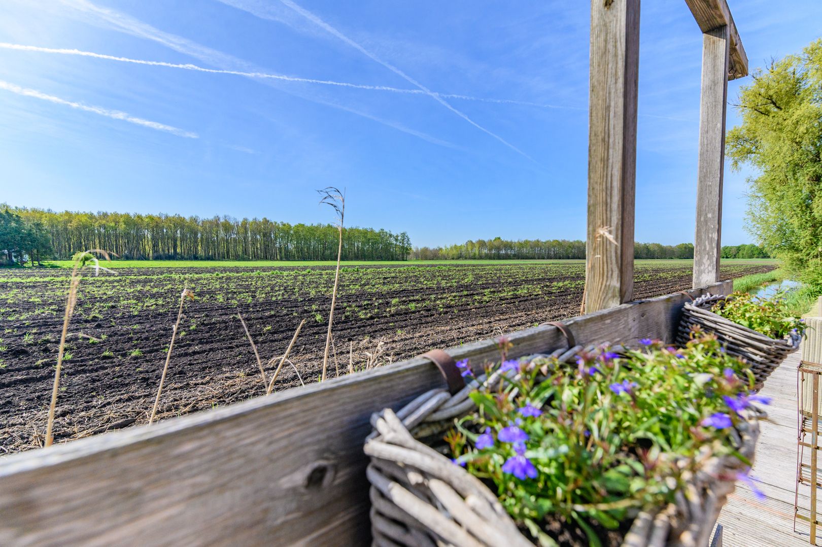 Photo 45 of Hanebuert 4