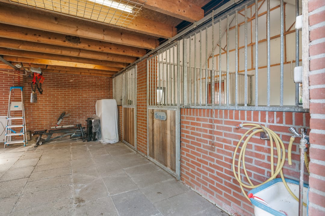 Photo 62 of Hanebuert 4