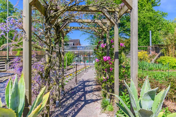 Foto 64 van Hanebuert 4