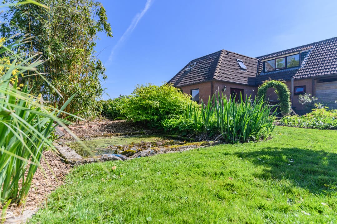 Photo 67 of Hanebuert 4