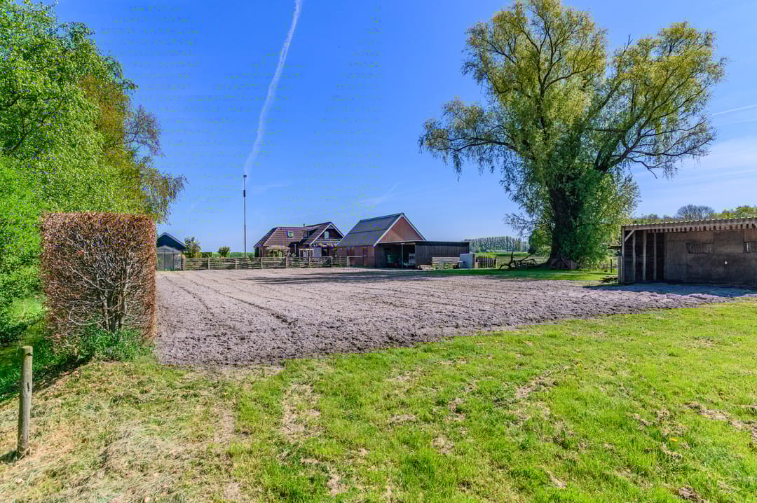 Photo 71 of Hanebuert 4