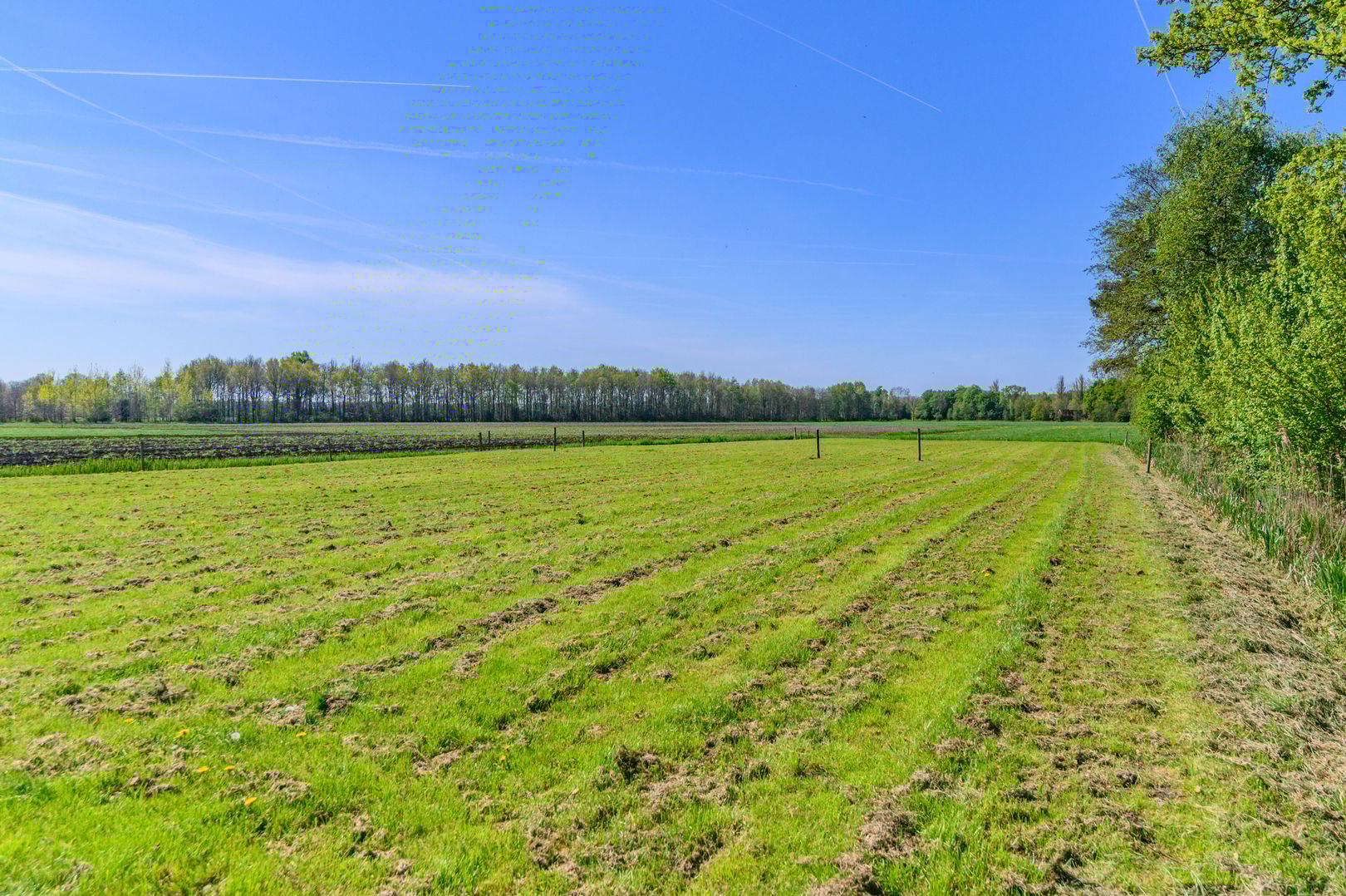 Photo 72 of Hanebuert 4