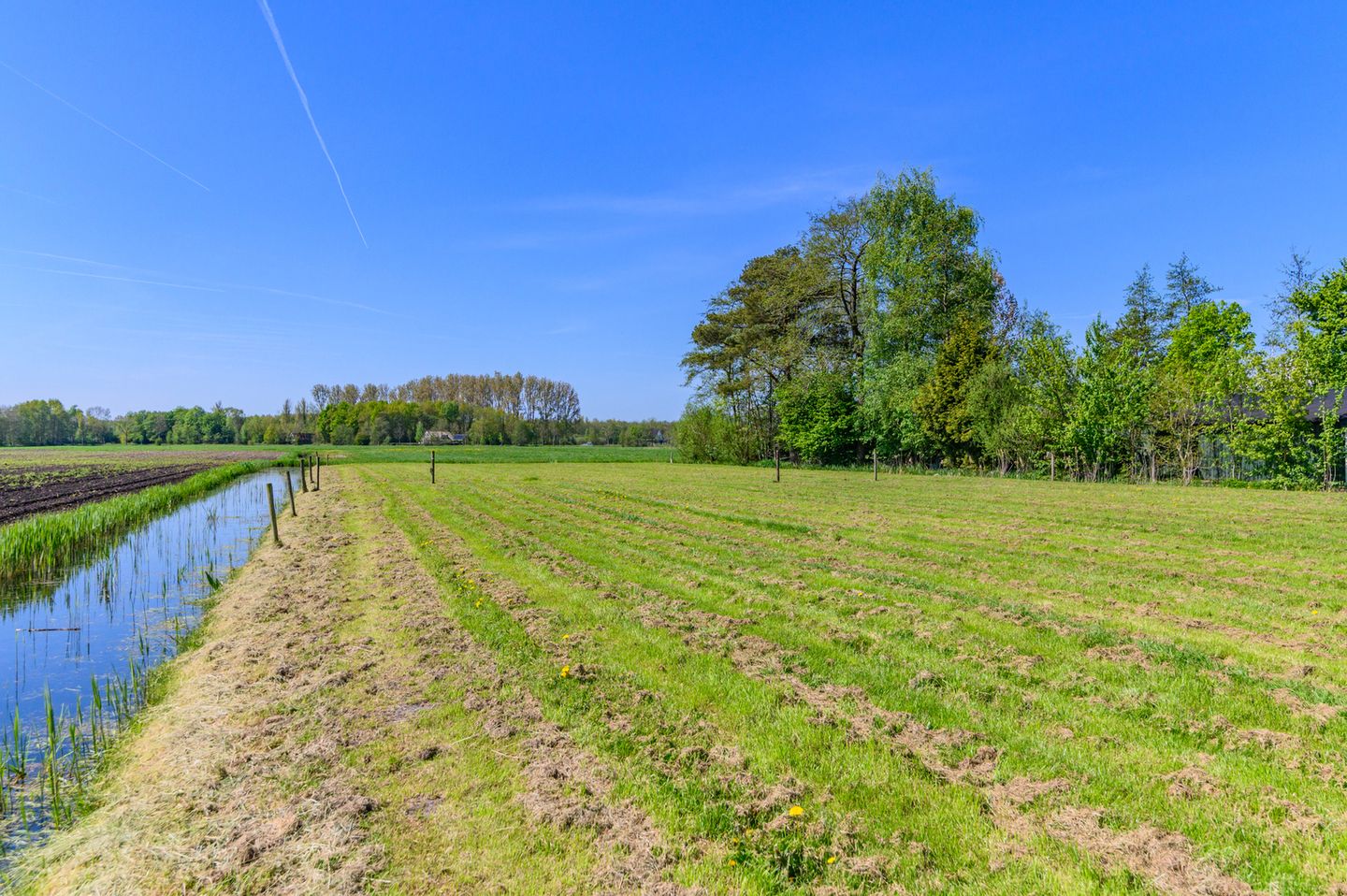 Photo 74 of Hanebuert 4