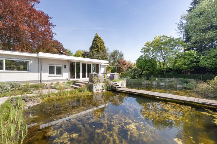 Foto 50 van Mommersstraat 10