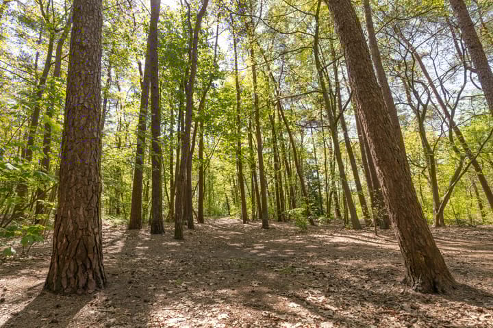 Foto 61 van Mommersstraat 10