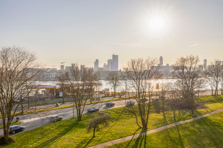 Foto 3 van Oostmaaslaan 274