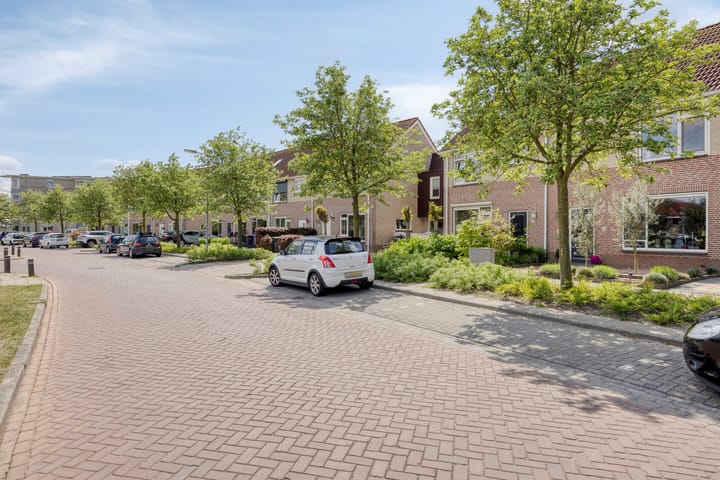 Foto 3 van Golfoploop 8