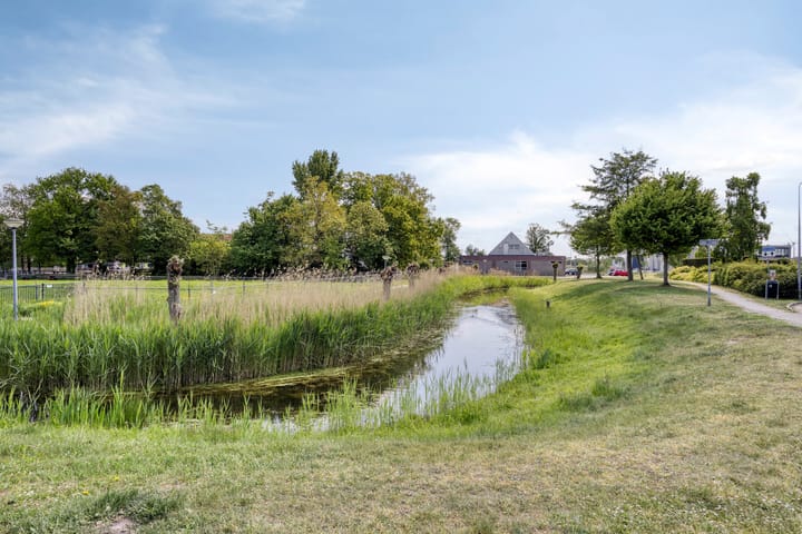 Foto 37 van Golfoploop 8