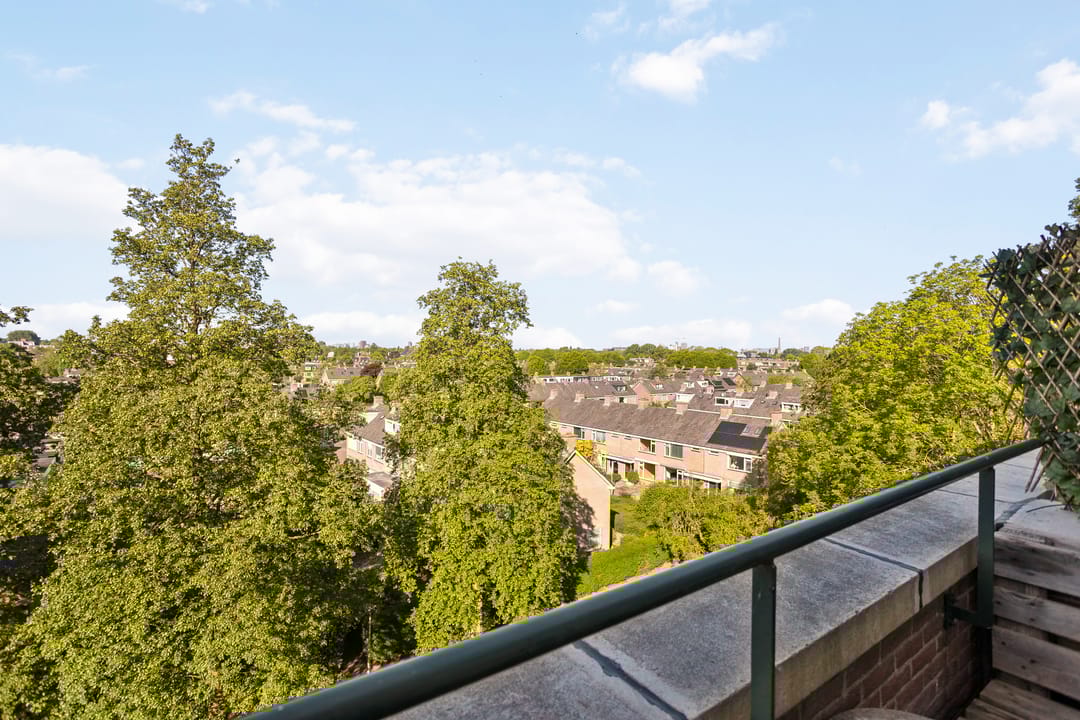 Foto 22 van Raaphorst 163