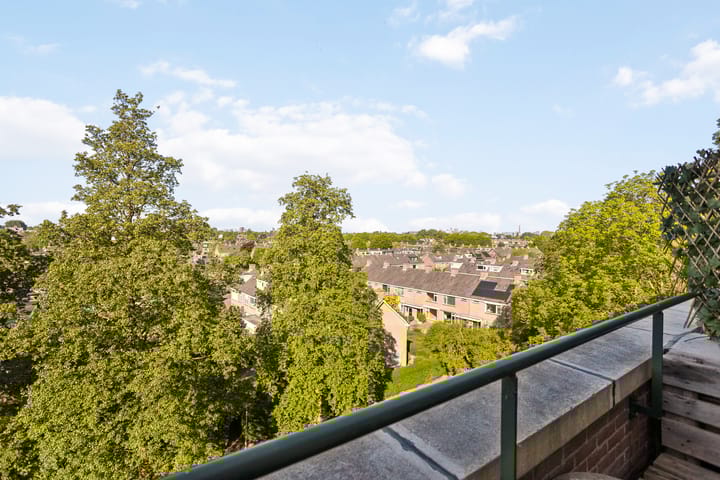 Photo 22 of Raaphorst 163