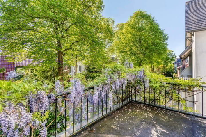 Foto 38 van Alexanderlaan 17