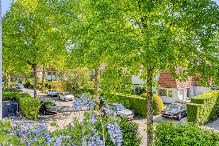 Foto 39 van Alexanderlaan 17