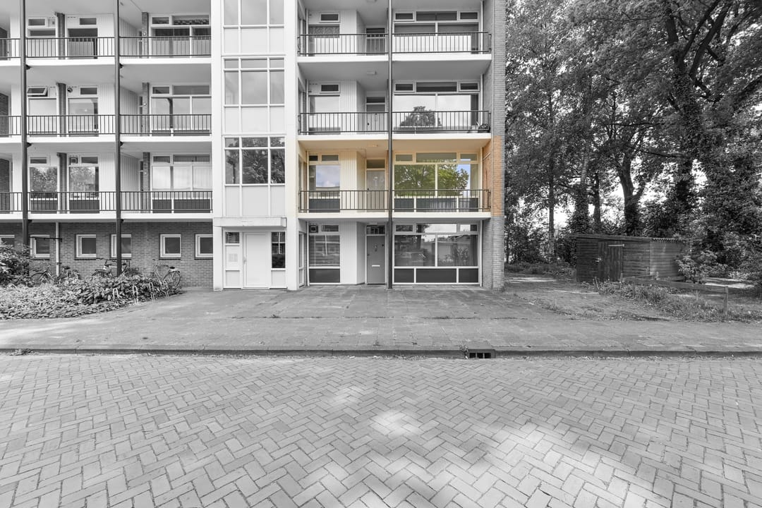 Photo 1 of De Reiger 175