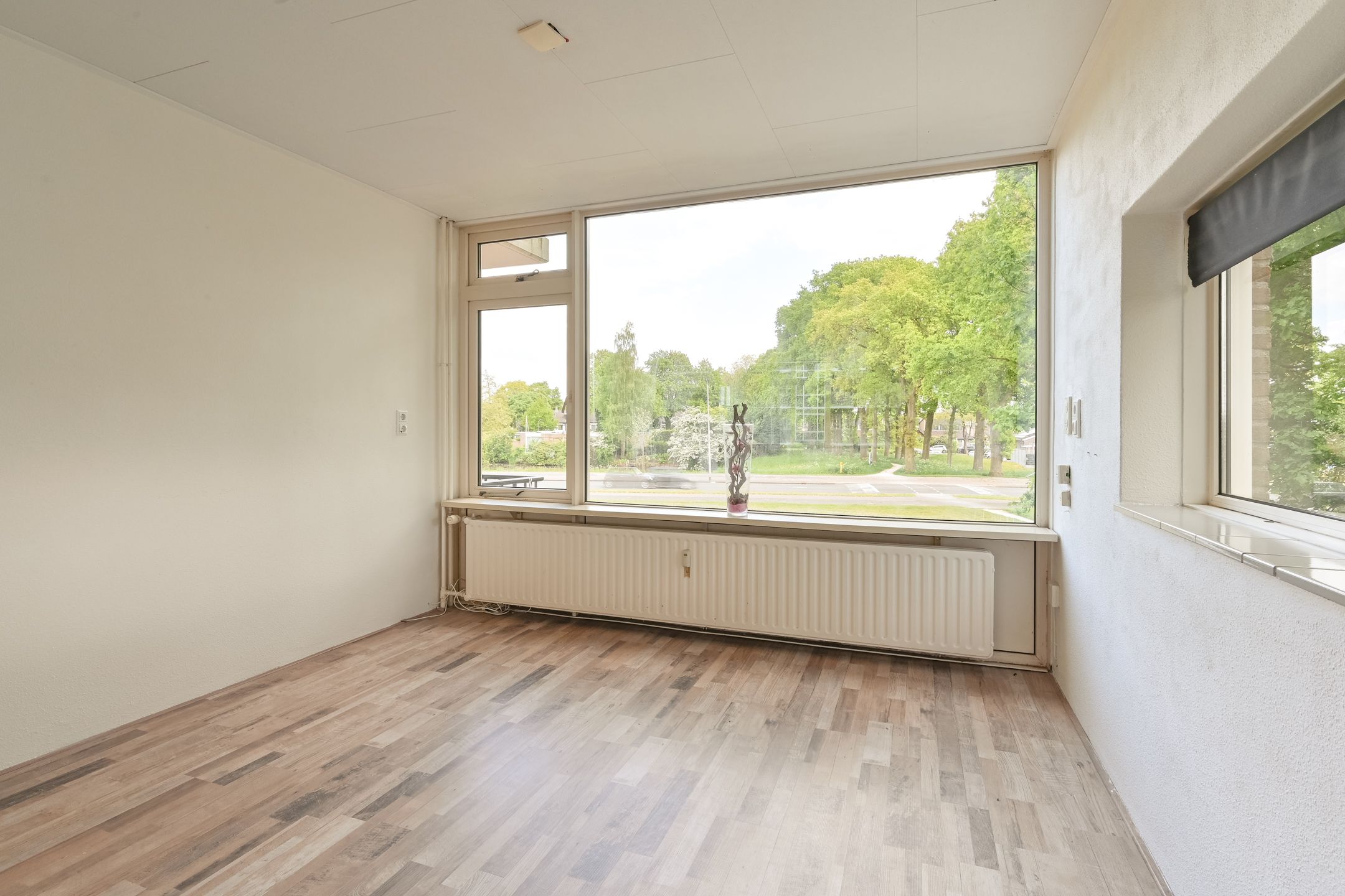 Photo 9 of De Reiger 175