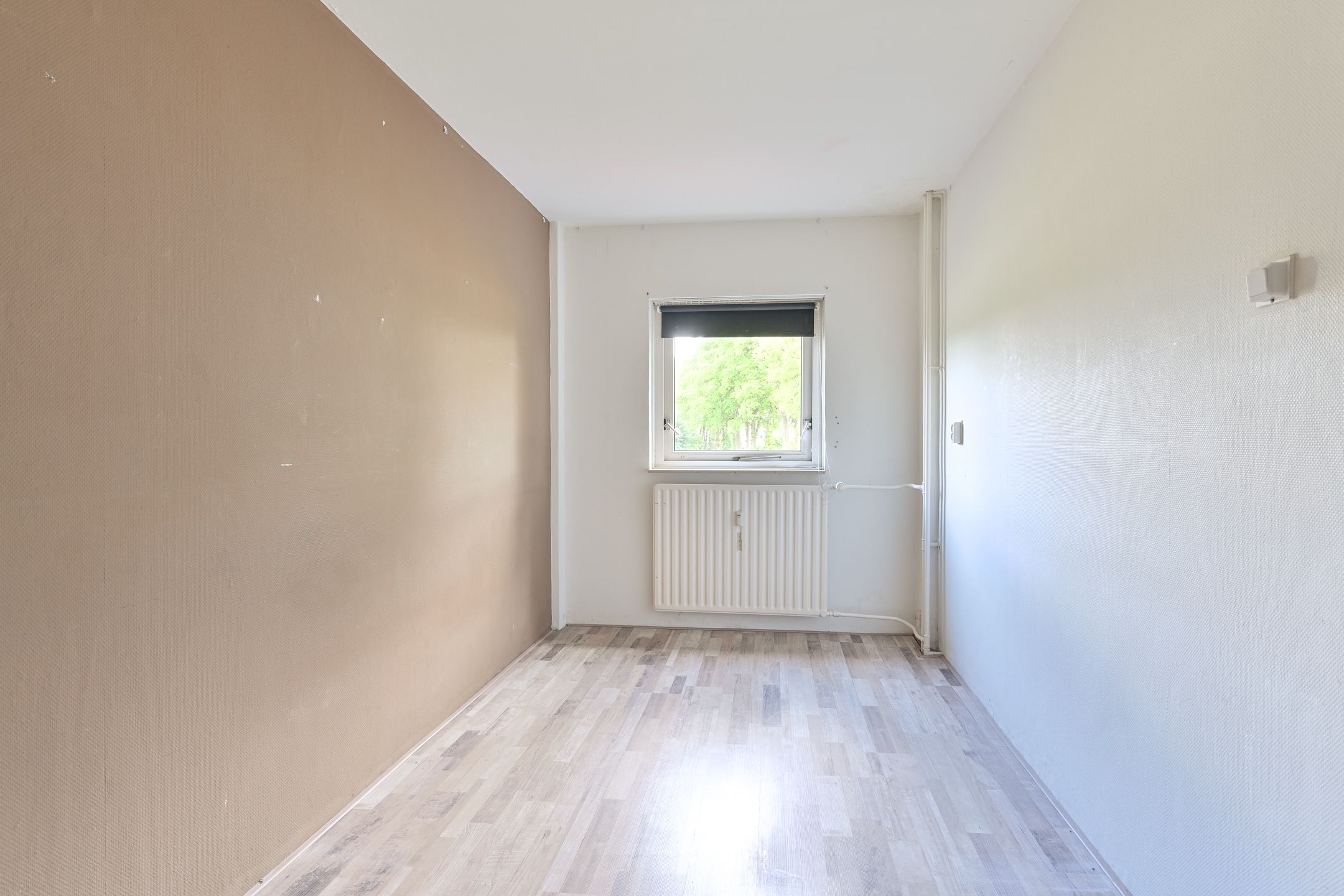 Photo 24 of De Reiger 175