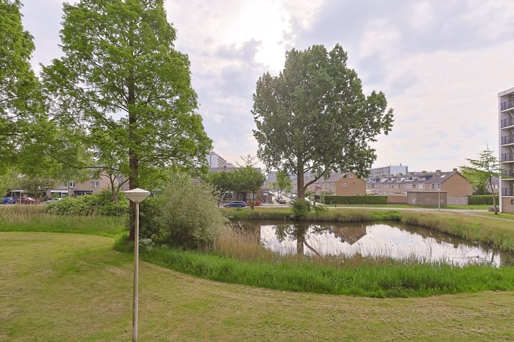 Foto 43 van Argostraat 212