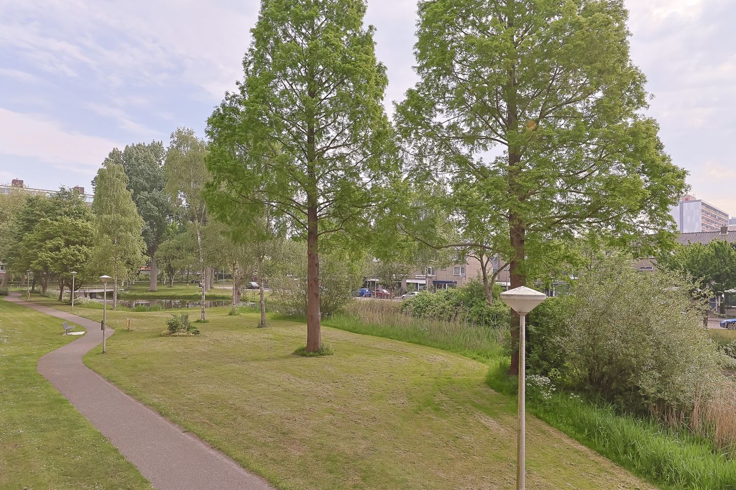 Foto 44 van Argostraat 212