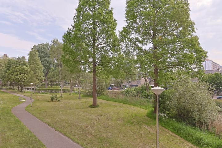 Foto 44 van Argostraat 212