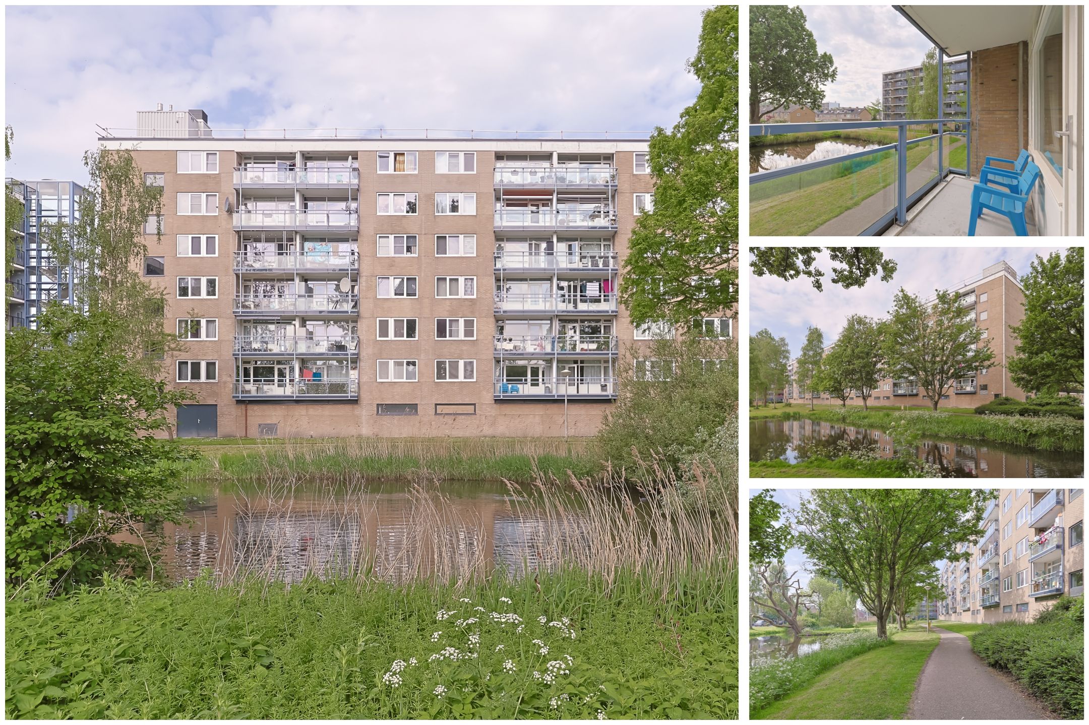 Foto 45 van Argostraat 212