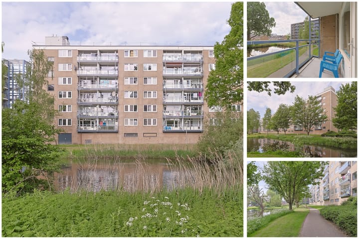 Foto 45 van Argostraat 212