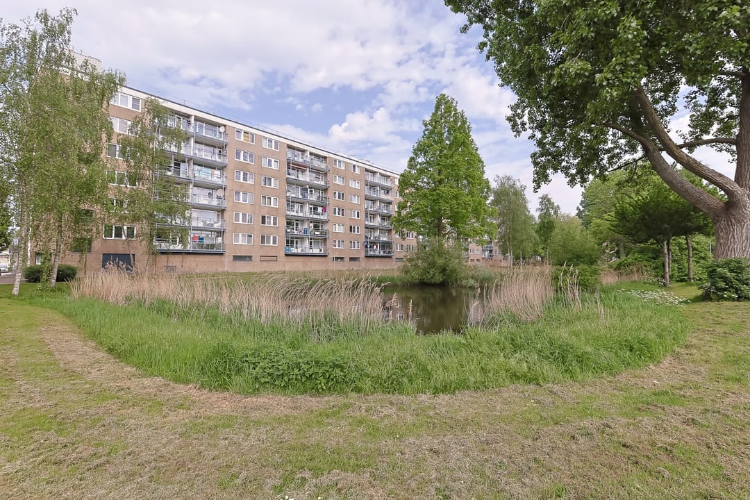 Foto 46 van Argostraat 212