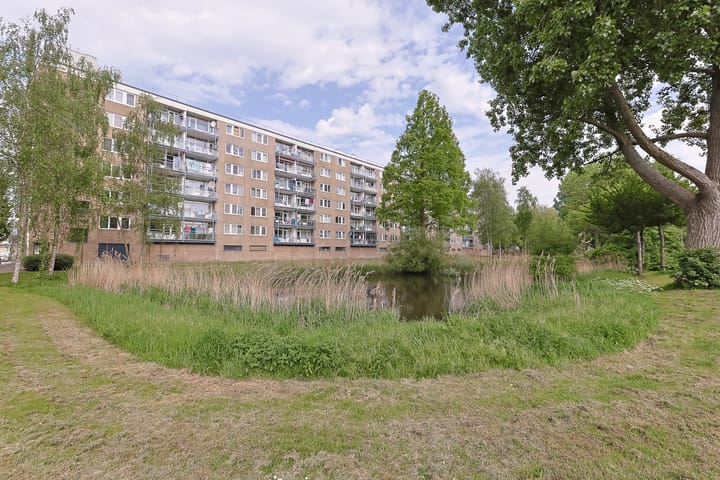 Foto 46 van Argostraat 212