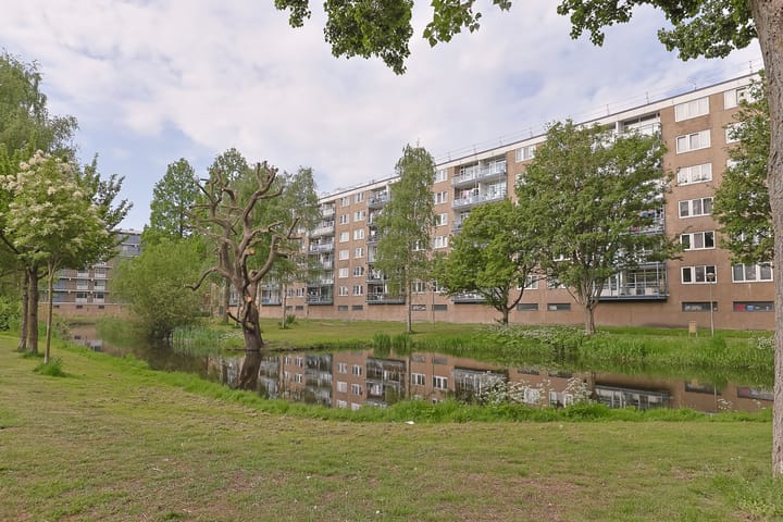 Foto 47 van Argostraat 212